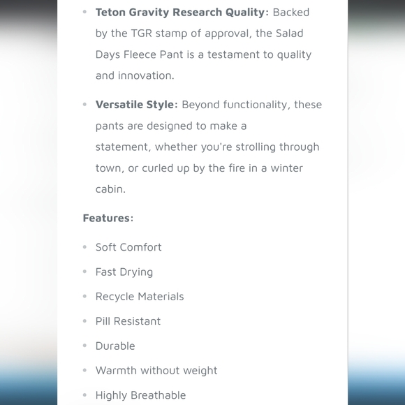 Teton Gravity Research Polartec x TGR Salad Days 1/4 Zip Pullover Women's XL - Picture 14 of 15